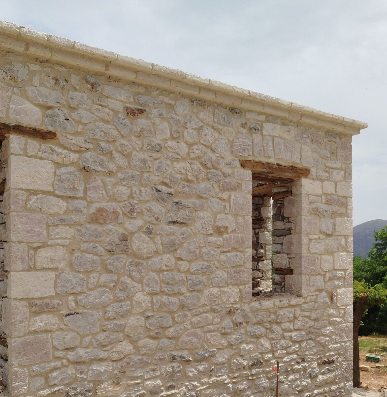 503112395 4206935489583237 8261160610447644096 n